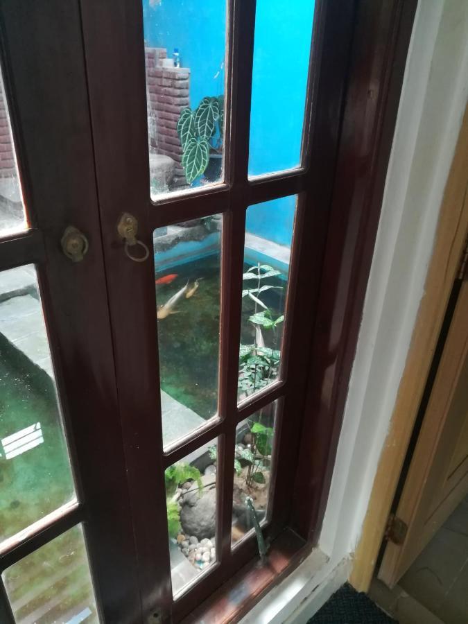 Aurora Echo Villa Matara Exteriér fotografie
